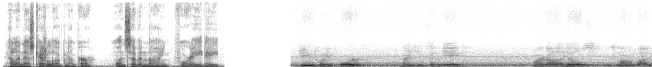 Indian Pitta - ML179488