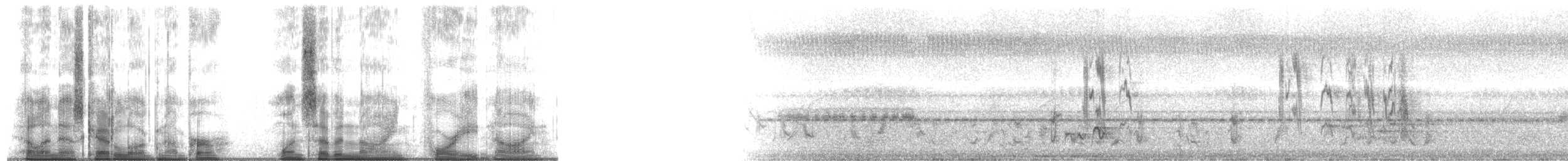 Gray-breasted Prinia - ML179489