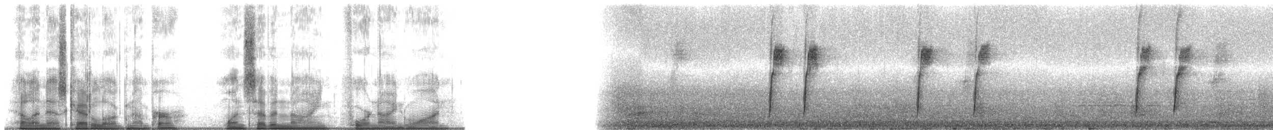 Turdus sp. - ML179491