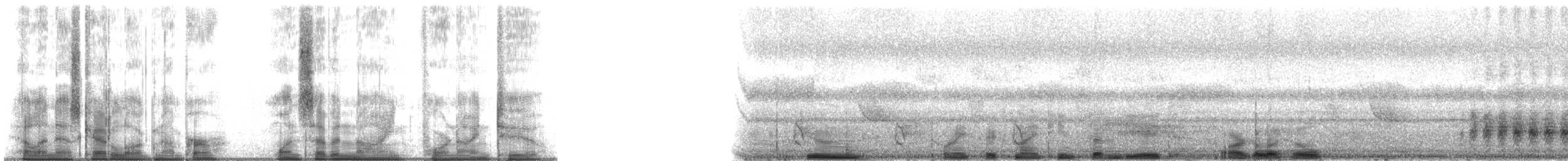 straka toulavá - ML179492