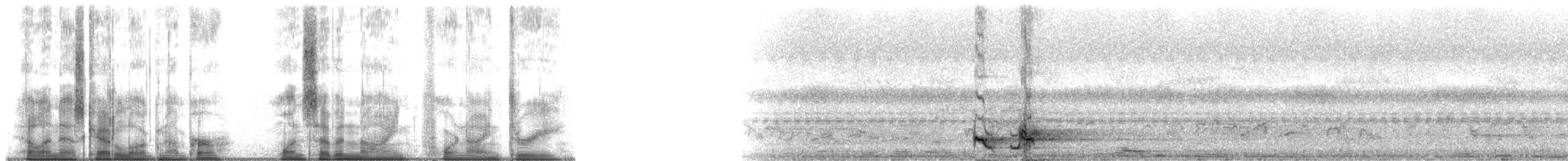 Rusty-cheeked Scimitar-Babbler - ML179493