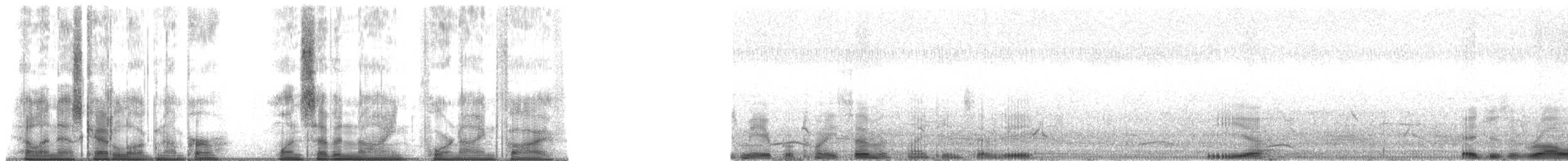 Black Drongo - ML179495