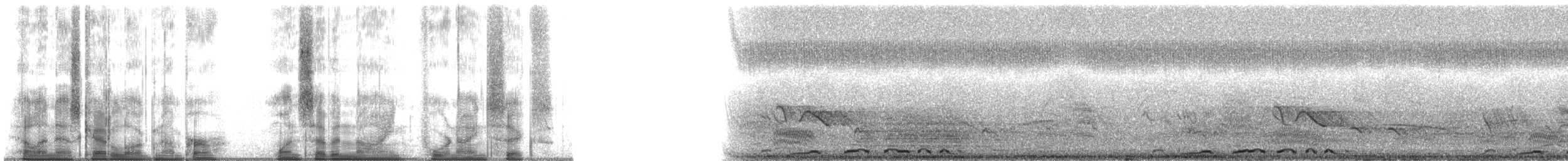 Laughing Dove - ML179496