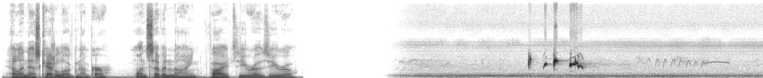 Himalayan Bulbul - ML179500