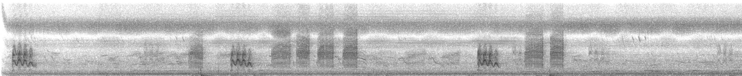 Black Drongo - ML179501