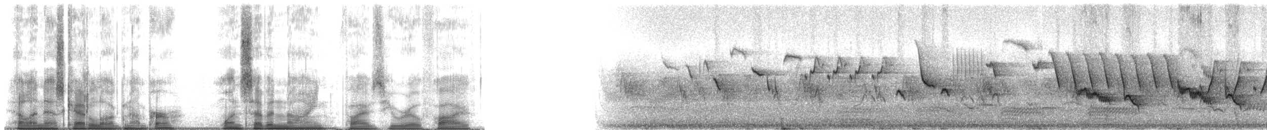 Mistle Thrush - ML179505