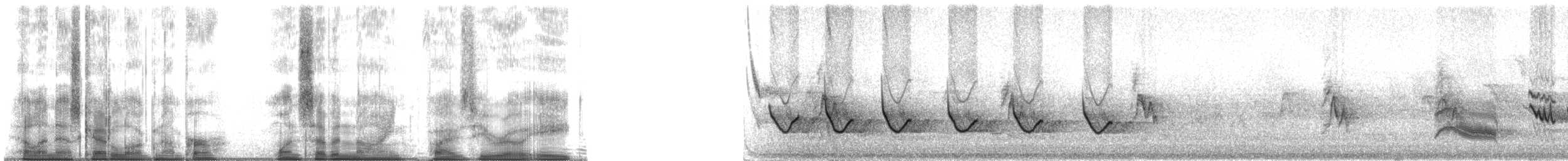 Mistle Thrush - ML179508