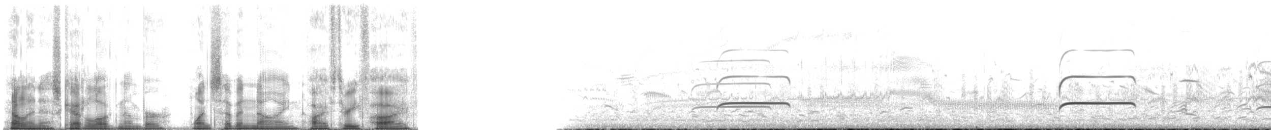 Black-bellied Plover - ML179535