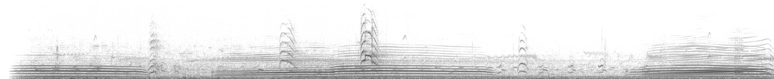 Pacific Loon - ML179537