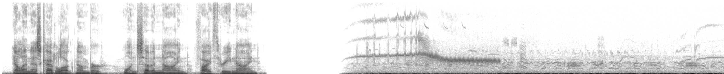 Western Sandpiper - ML179539