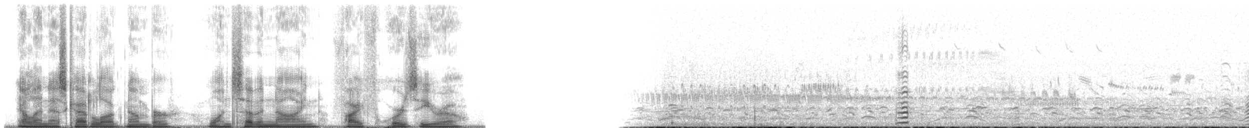 Long-tailed Duck - ML179540