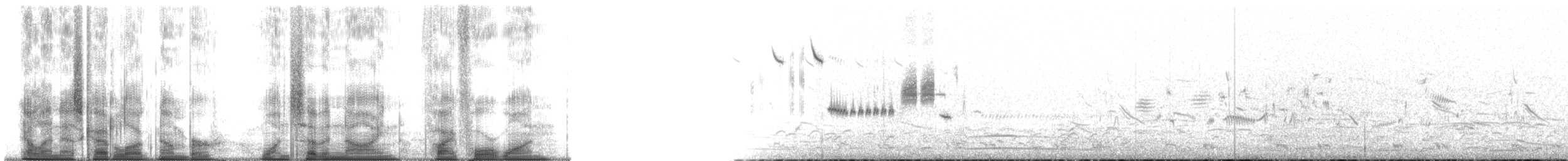 Savannah Sparrow - ML179541