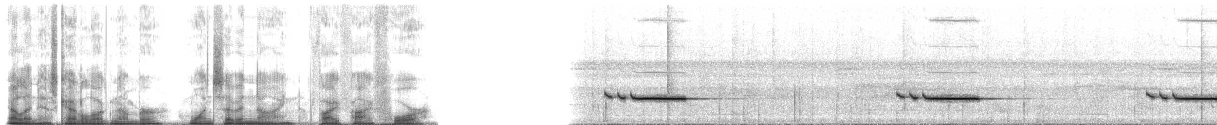 Striped Wren-Babbler - ML179554