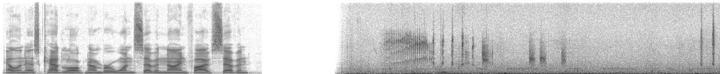 Prinia Ventripálida - ML17957