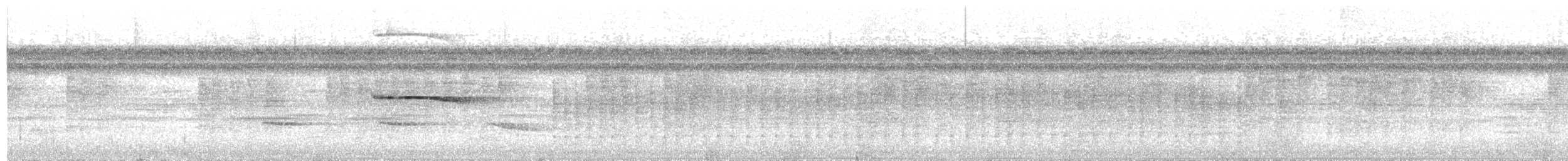 Tinamou de Berlepsch - ML179641191