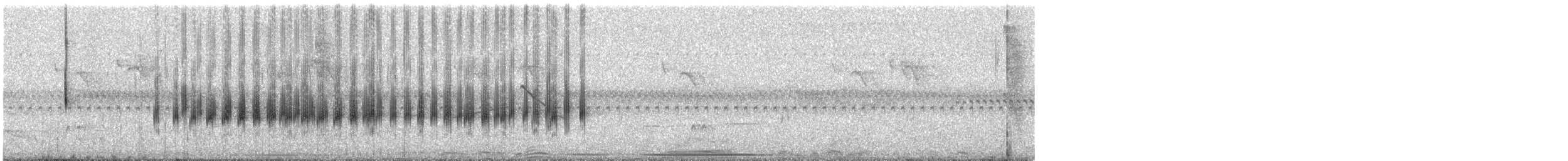 Тиран вилохвостий (підвид savana) - ML179658261