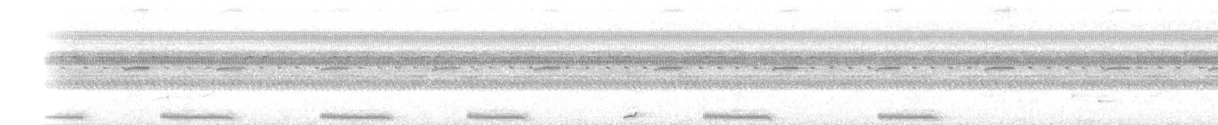 Common Pauraque - ML179719331