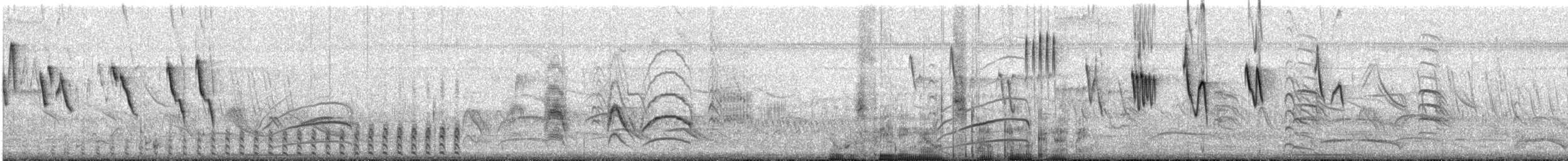 Pantanal Snipe - ML179726241