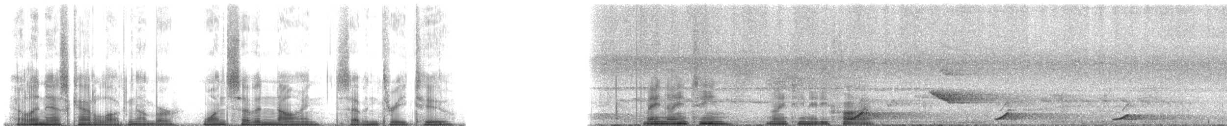 Lar Gibbon - ML179732