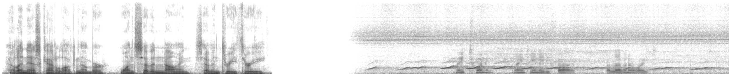 Lar x Pileated Gibbon (hybrid) - ML179733