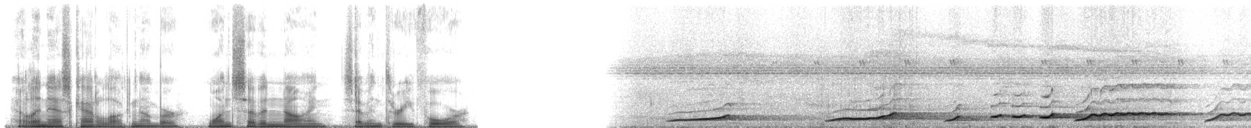 Lar Gibbon - ML179734