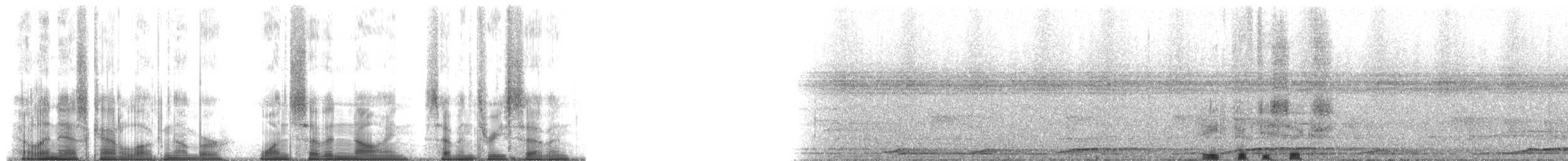 Lar Gibbon - ML179737