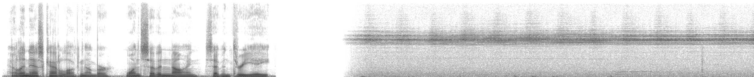 Pileated Gibbon - ML179738