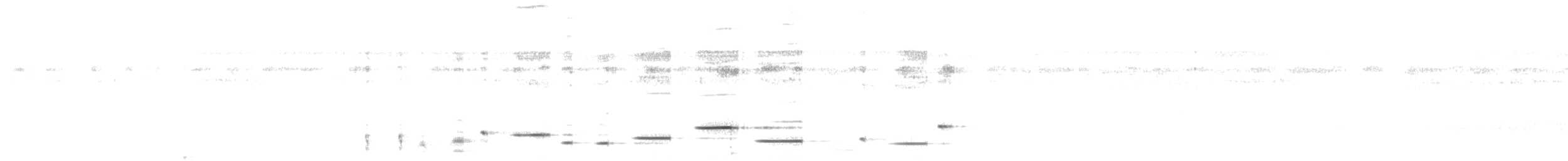 Troglodyte arada - ML179738081