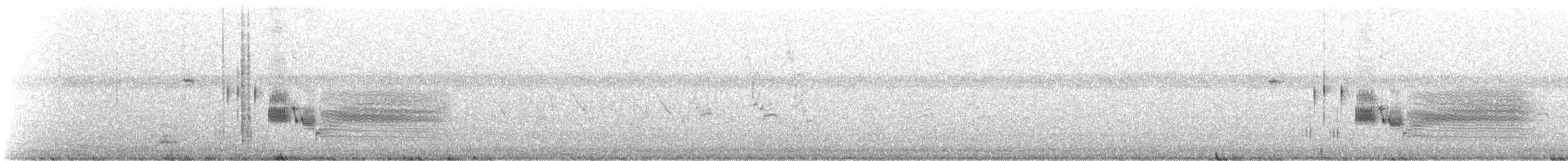 Приморская овсянка-барсучок - ML179780051