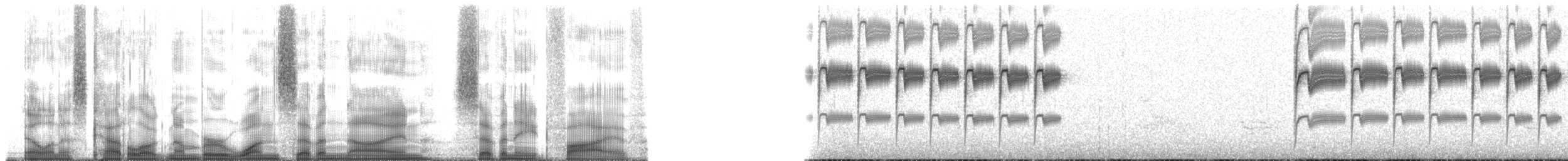 White-throated Hummingbird - ML179785