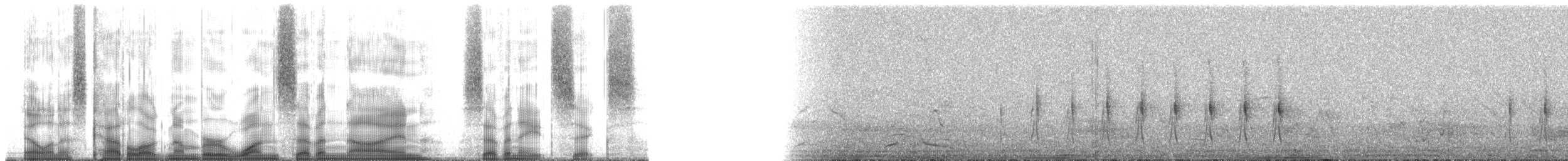 Mouse-colored Tapaculo - ML179786