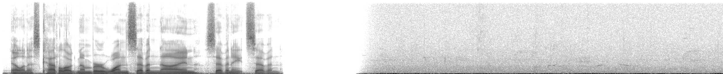 Dusky-tailed Antbird - ML179787