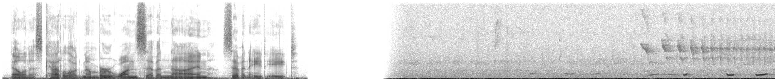 Plumbeous Pigeon - ML179788