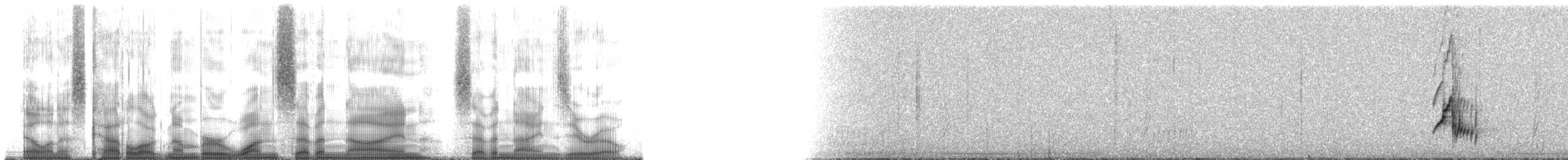 Small-headed Elaenia - ML179790