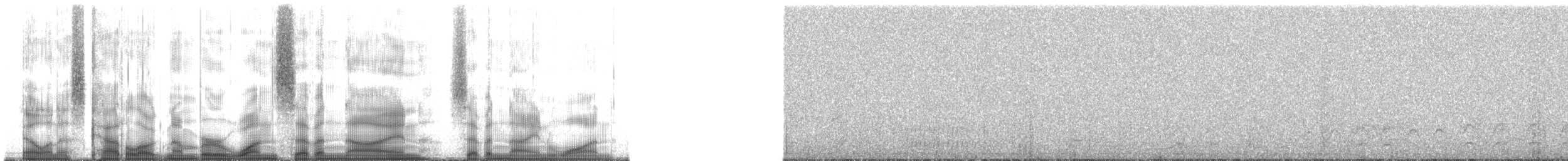 White-crested Tyrannulet (Sulphur-bellied) - ML179791