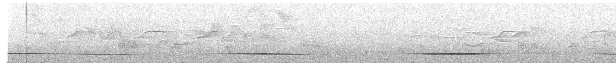 Hakenschnabelvanga (curvirostris) - ML179809681