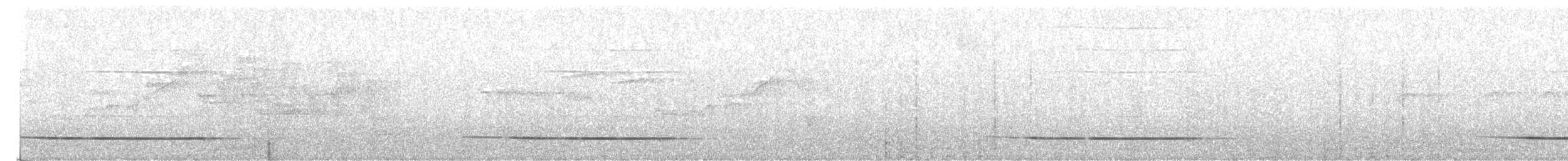 Крючкоклювая ванга (curvirostris) - ML179809701