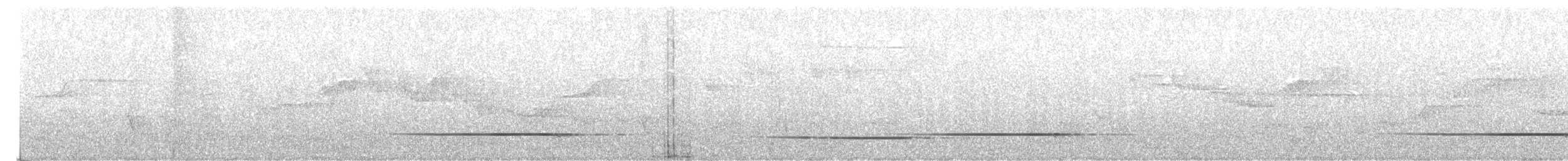 Hakenschnabelvanga (curvirostris) - ML179809721