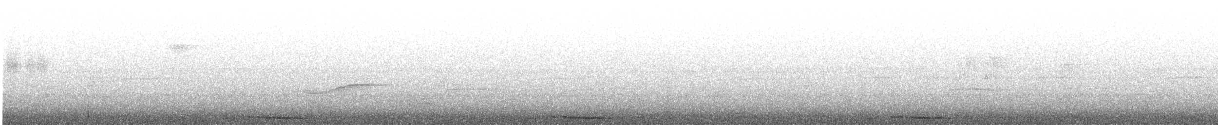 holub panamský - ML179811801