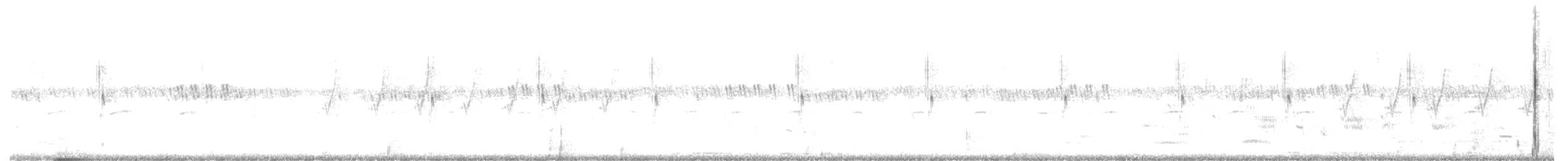 棕扇尾鶯 - ML179828691