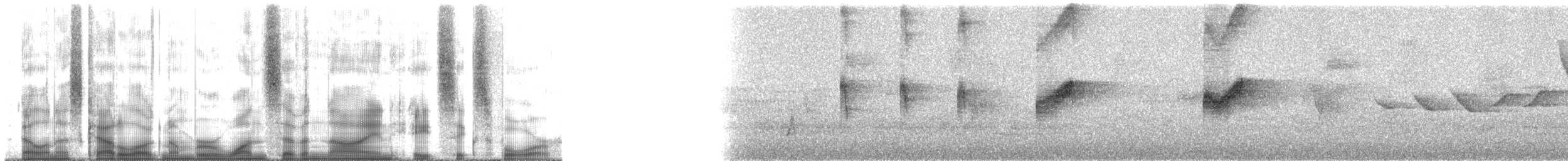 Мухоїд світлогорлий (підвид sulphurescens) - ML179864