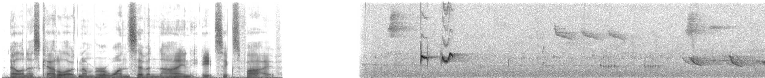 Ferruginous Antbird - ML179865