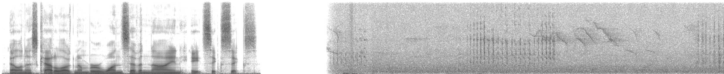 Saffron Toucanet - ML179866