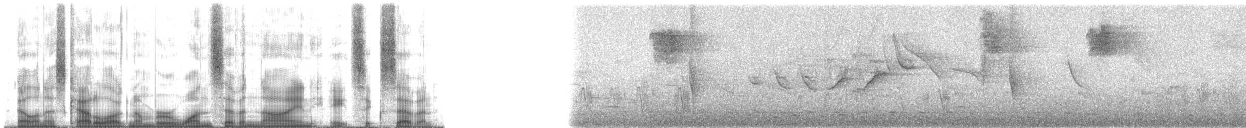 Boat-billed Flycatcher (South American) - ML179867