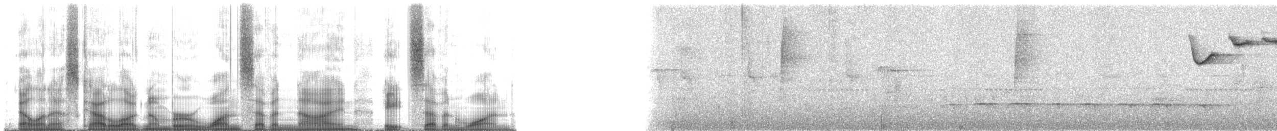 Pectoral Sparrow - ML179871