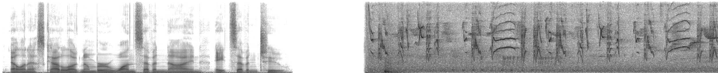 Magpie Tanager - ML179872