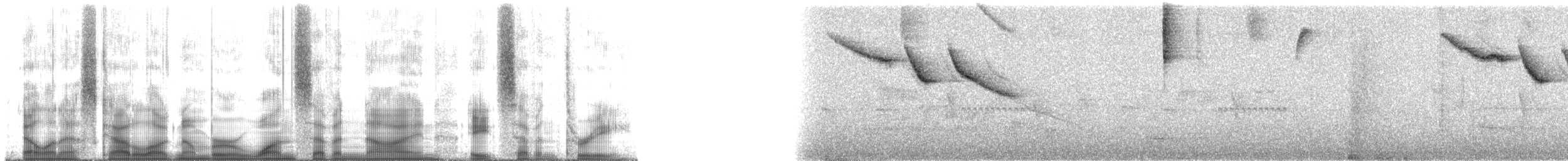 Pectoral Sparrow - ML179873