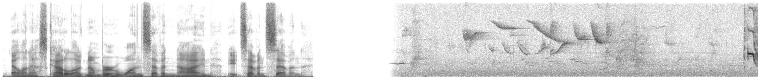 Boat-billed Flycatcher (South American) - ML179877