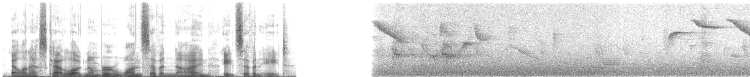 Pale-breasted Thrush - ML179878