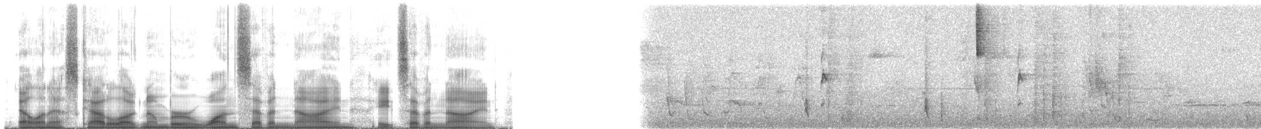 Pectoral Sparrow - ML179879